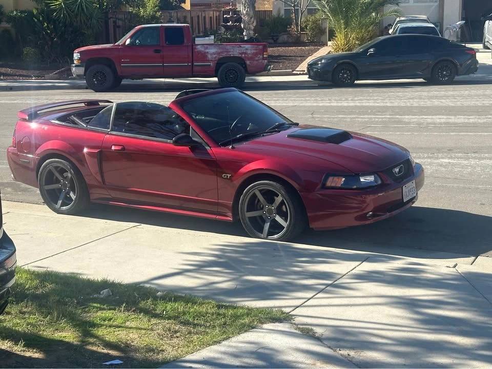 2002 Ford SN95 Mustang - Image 2 of 2