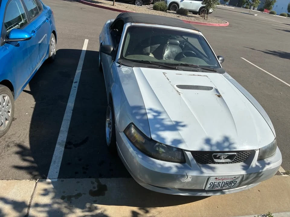 2002 Ford SN95 Mustang - Image 2 of 5