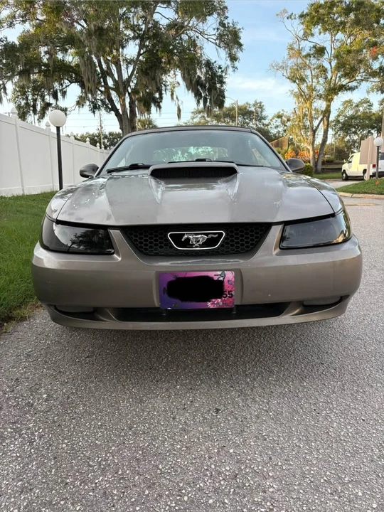 2002 Ford SN95 Mustang - Image 7 of 9