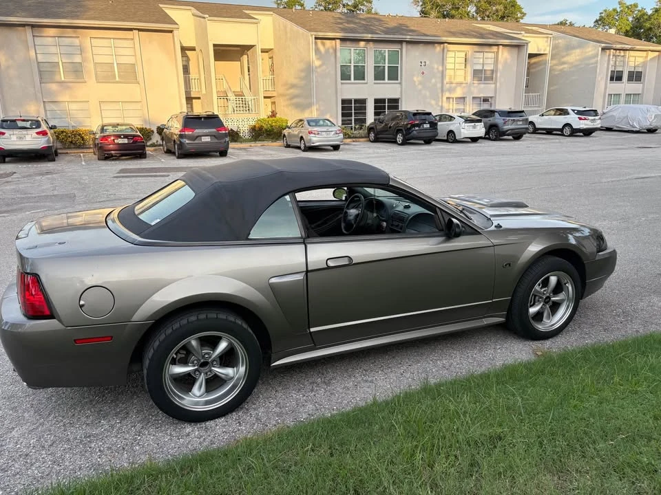 2002 Ford SN95 Mustang - Image 2 of 9