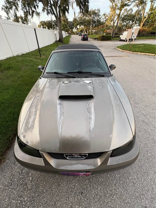 2002 Ford SN95 Mustang - Image 6 of 9