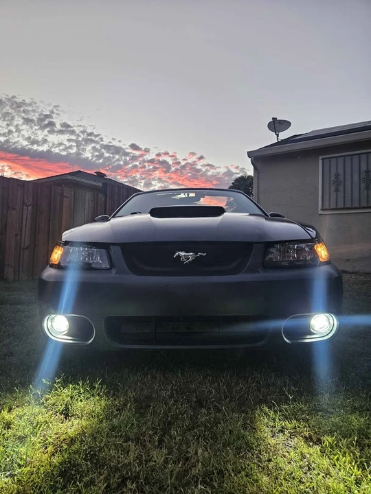 2002 Ford SN95 Mustang - Image 9 of 9