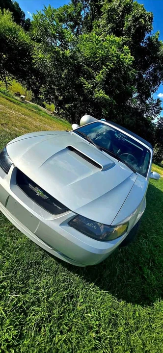 2002 Ford SN95 Mustang - Image 16 of 20