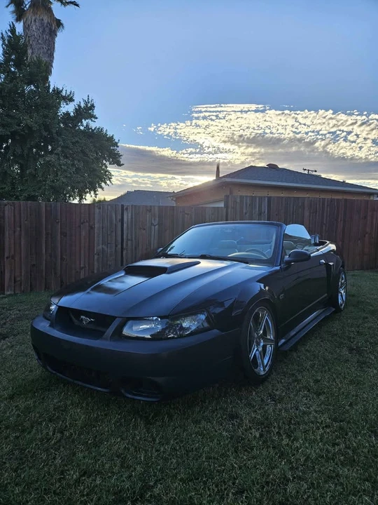 2002 Ford SN95 Mustang - Image 2 of 9