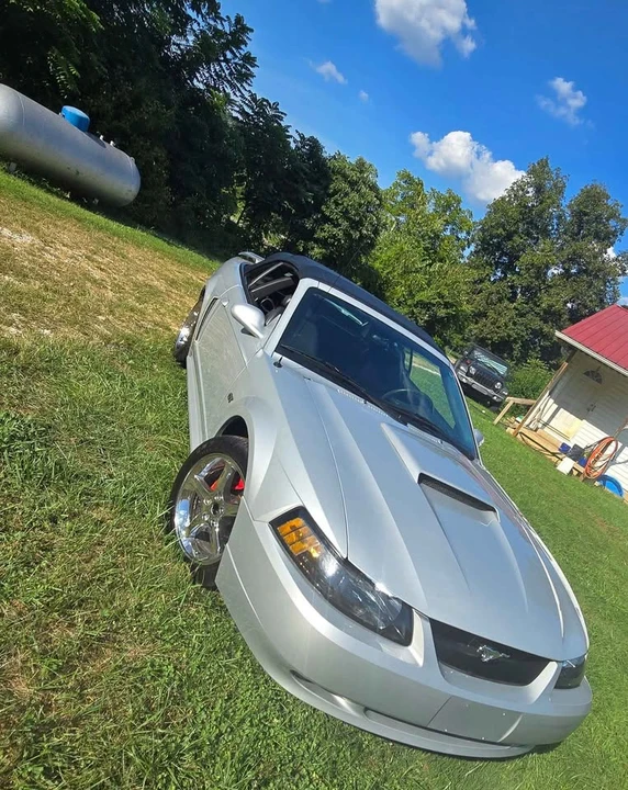 2002 Ford SN95 Mustang - Image 18 of 20