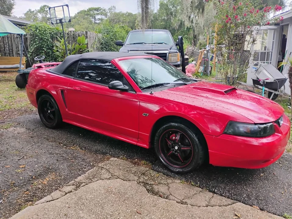 2002 Ford SN95 Mustang - Image 3 of 7