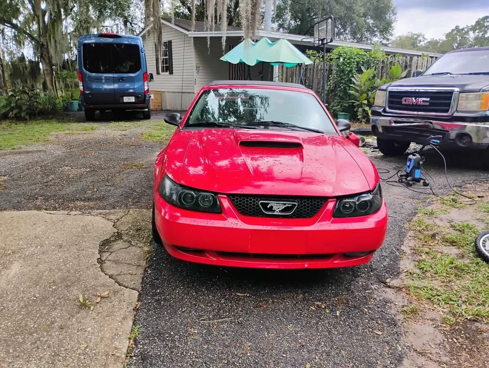 2002 Ford SN95 Mustang - Image 2 of 7