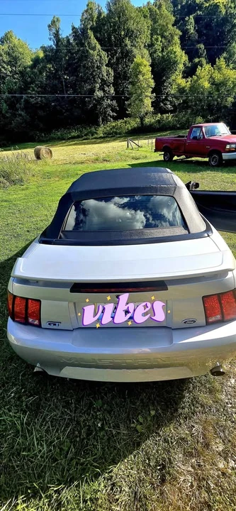 2002 Ford SN95 Mustang - Image 7 of 20