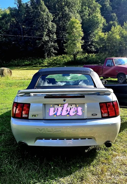 2002 Ford SN95 Mustang - Image 6 of 20