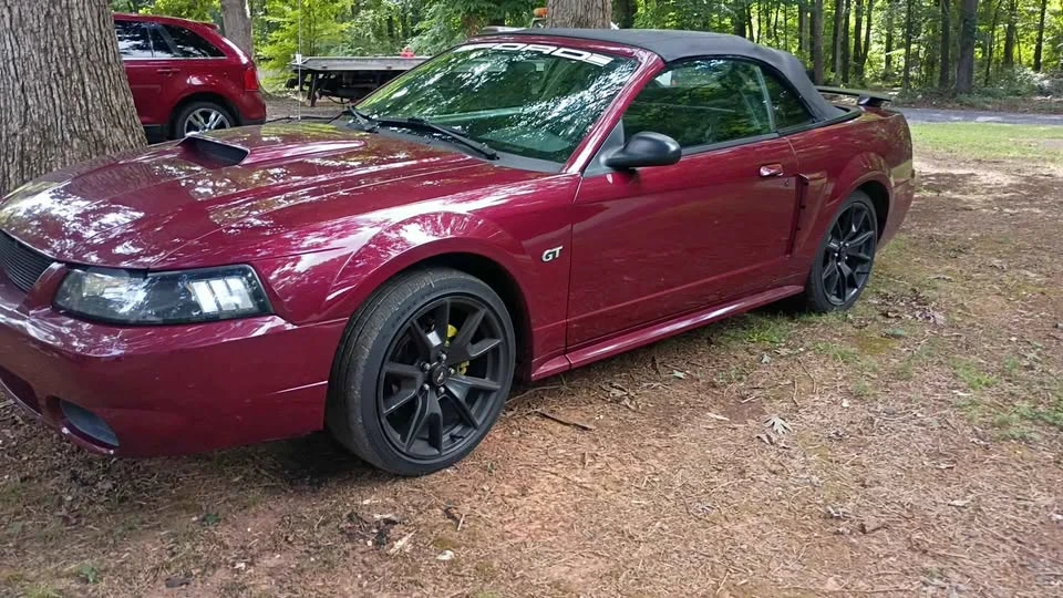 2002 Ford SN95 Mustang - Image 4 of 4