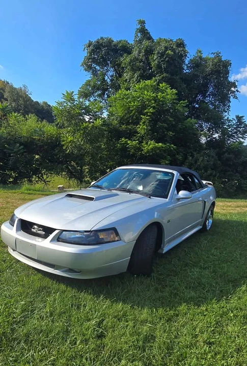 2002 Ford SN95 Mustang - Image 2 of 20