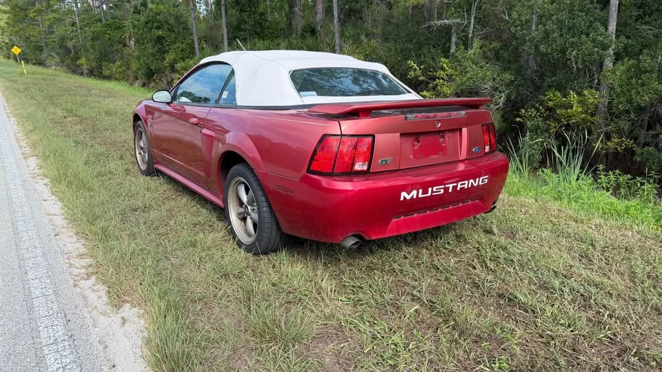 2002 Ford SN95 Mustang - Image 3 of 8