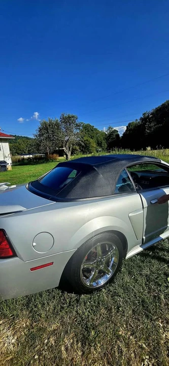 2002 Ford SN95 Mustang - Image 4 of 20
