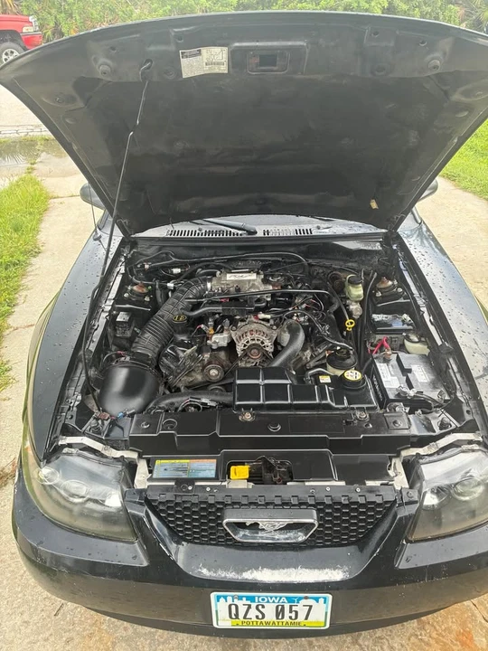2002 Ford SN95 Mustang - Image 5 of 5