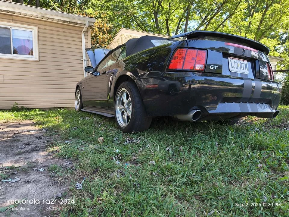 2002 Ford SN95 Mustang - Image 10 of 20