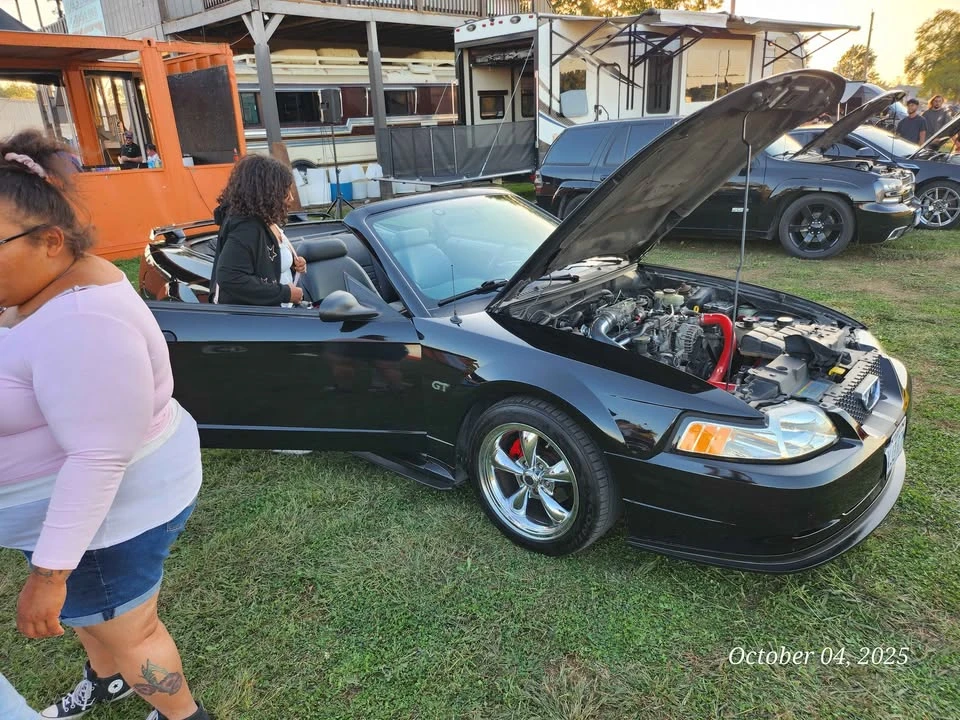 2002 Ford SN95 Mustang - Image 2 of 20