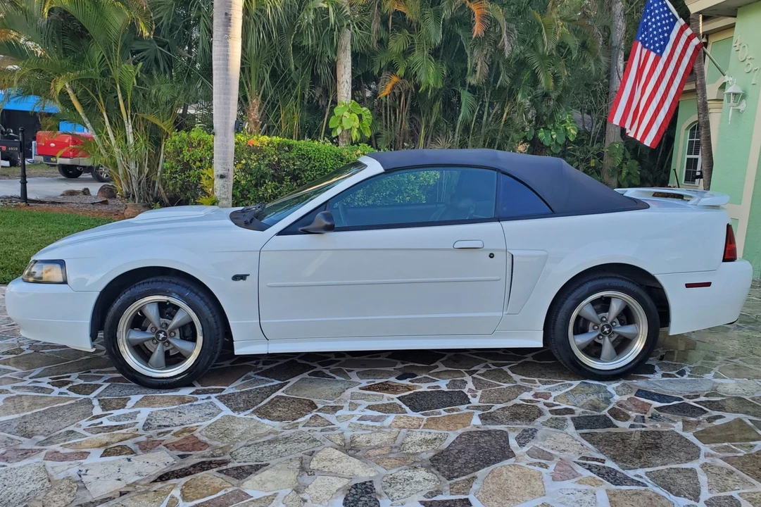 2002 Ford SN95 Mustang - Image 3 of 7