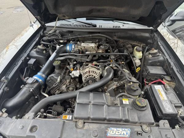 2002 Ford SN95 Mustang - Image 5 of 13