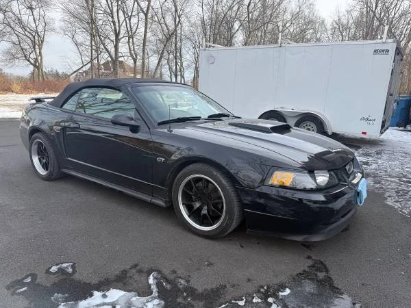 2002 Ford SN95 Mustang - Image 12 of 13