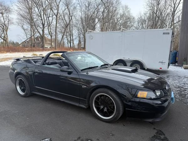 2002 Ford SN95 Mustang - Image 2 of 13