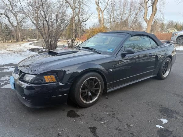 2002 Ford SN95 Mustang - Image 13 of 13