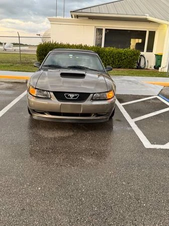 2002 Ford SN95 Mustang - Image 3 of 7