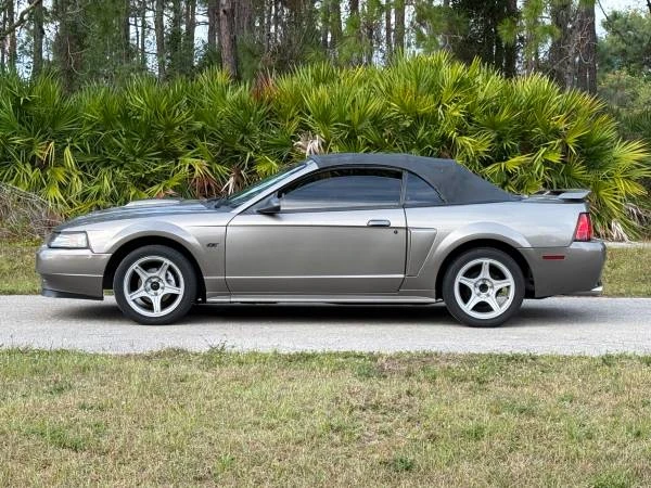 2002 Ford SN95 Mustang - Image 4 of 7