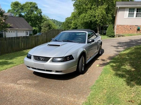 2002 Ford SN95 Mustang - Image 3 of 8