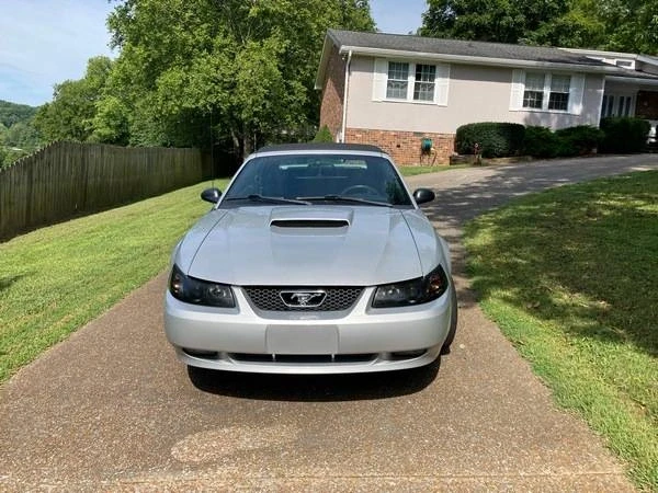 2002 Ford SN95 Mustang - Image 5 of 8