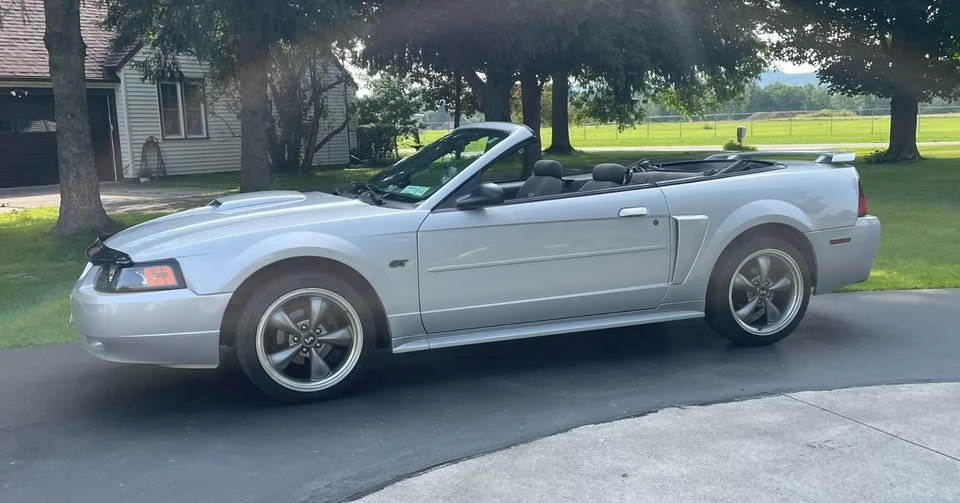 2002 Ford SN95 Mustang - Image 3 of 14