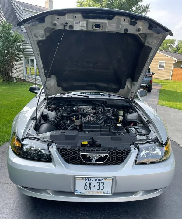 2002 Ford SN95 Mustang - Image 2 of 14