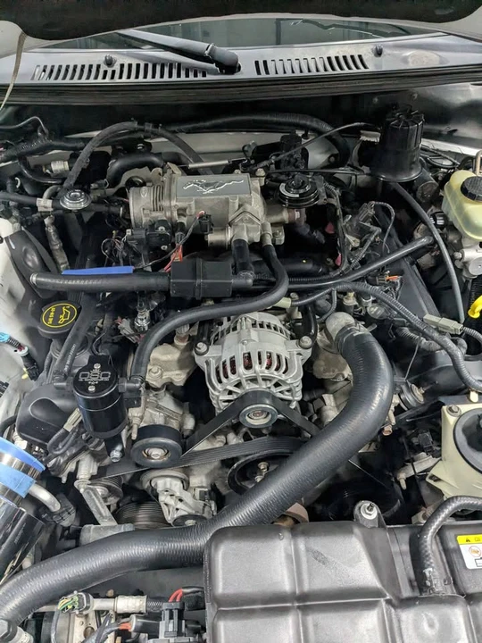 2002 Ford SN95 Mustang - Image 13 of 17