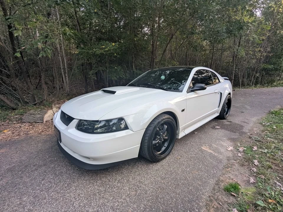 2002 Ford SN95 Mustang - Image 2 of 17