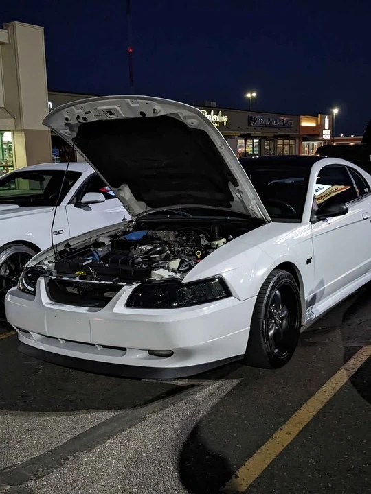 2002 Ford SN95 Mustang - Image 10 of 17