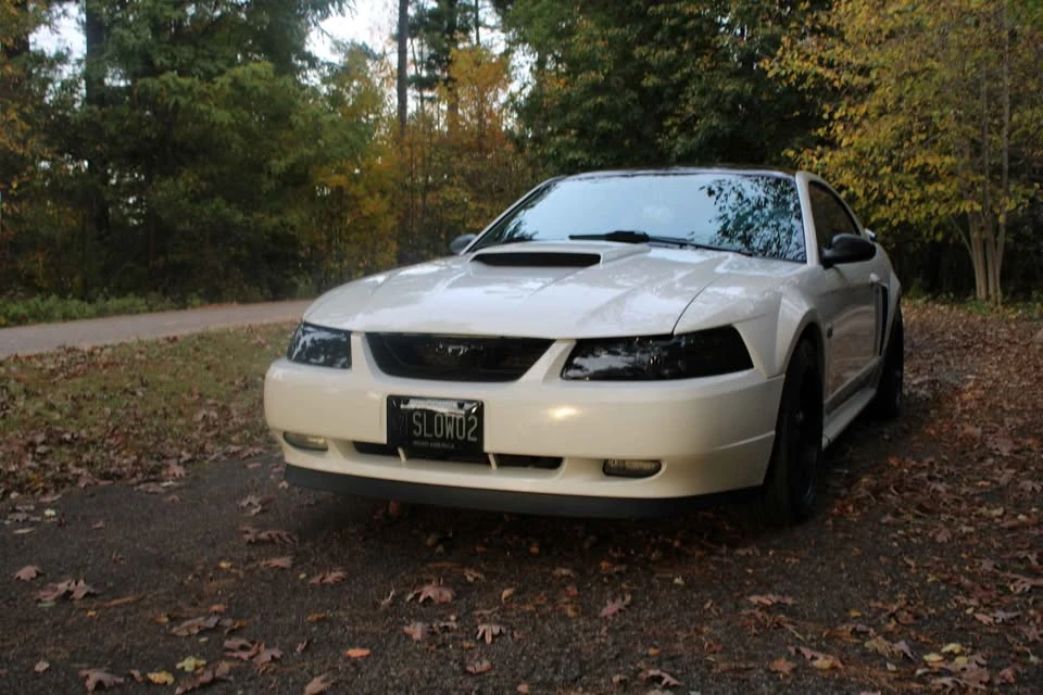 2002 Ford SN95 Mustang - Image 17 of 17