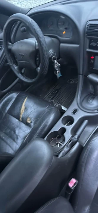 2002 Ford SN95 Mustang - Image 8 of 19