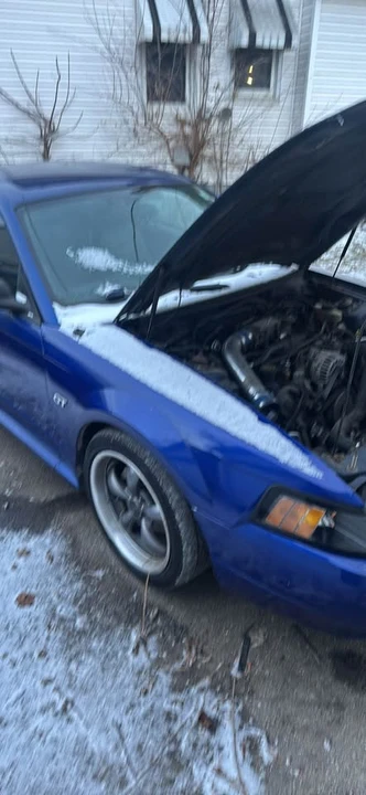 2002 Ford SN95 Mustang - Image 3 of 19