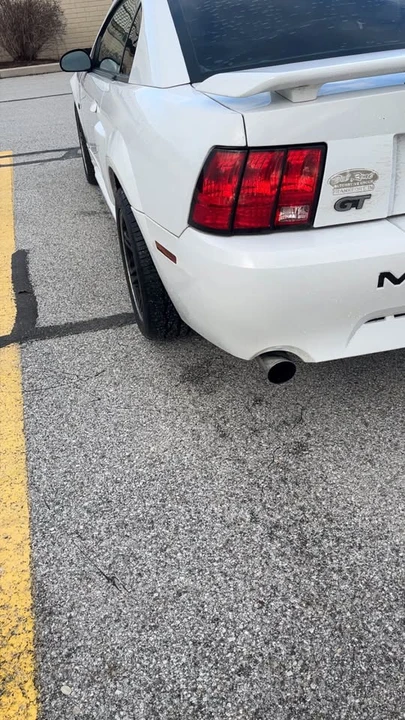 2002 Ford SN95 Mustang - Image 3 of 4