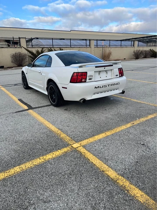 2002 Ford SN95 Mustang - Image 2 of 4