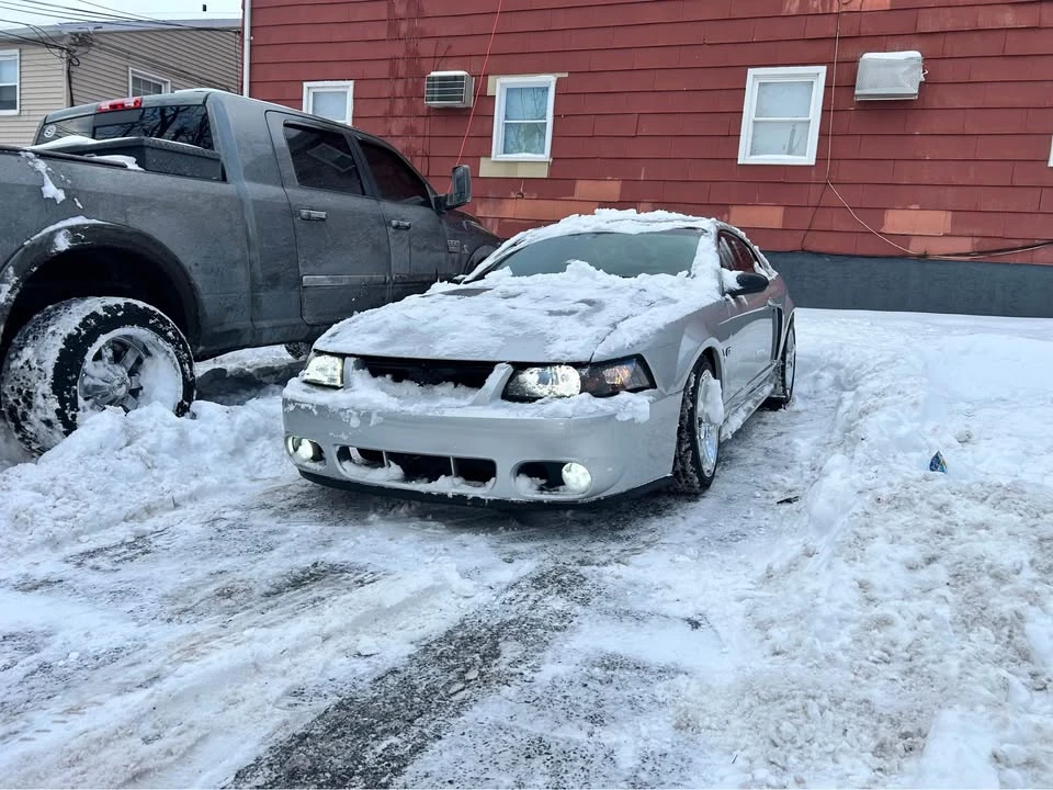 2002 Ford SN95 Mustang - Image 3 of 9