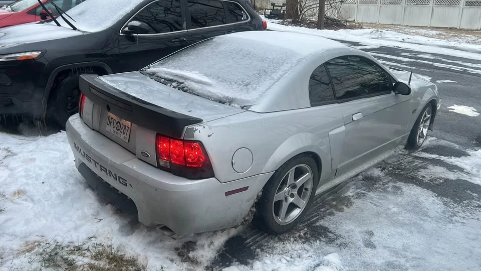 2002 Ford SN95 Mustang - Image 4 of 9