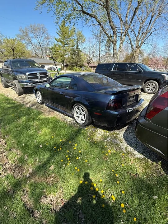 2002 Ford SN95 Mustang - Image 3 of 10