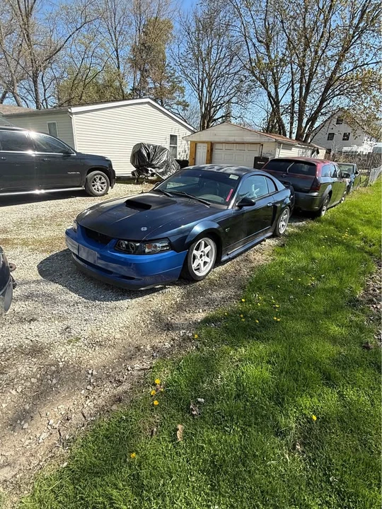 2002 Ford SN95 Mustang - Image 2 of 10