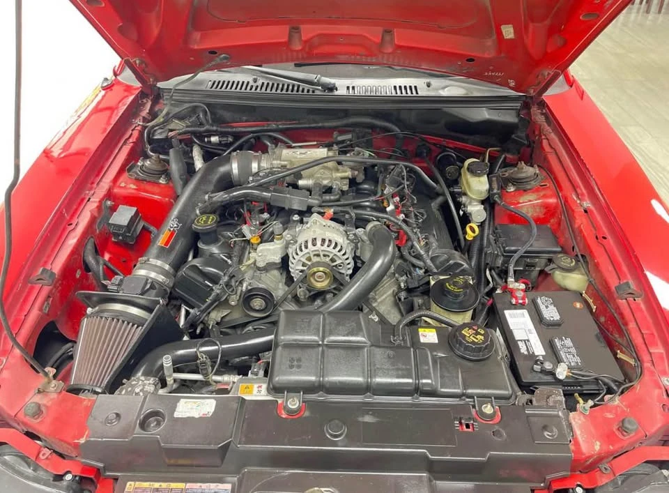 2002 Ford SN95 Mustang - Image 10 of 10