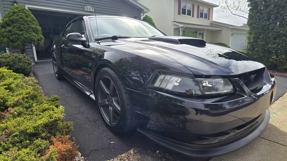 2002 Ford SN95 Mustang - Image 2 of 5