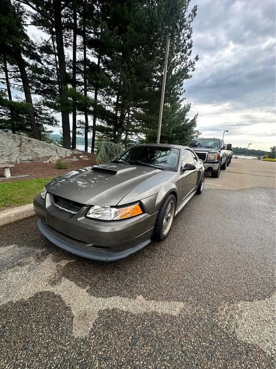 2002 Ford SN95 Mustang - Image 2 of 13