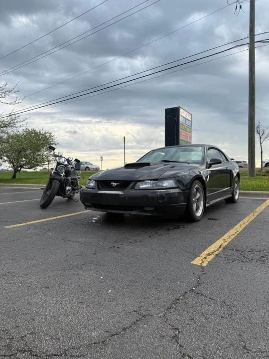 2002 Ford SN95 Mustang - Image 2 of 12