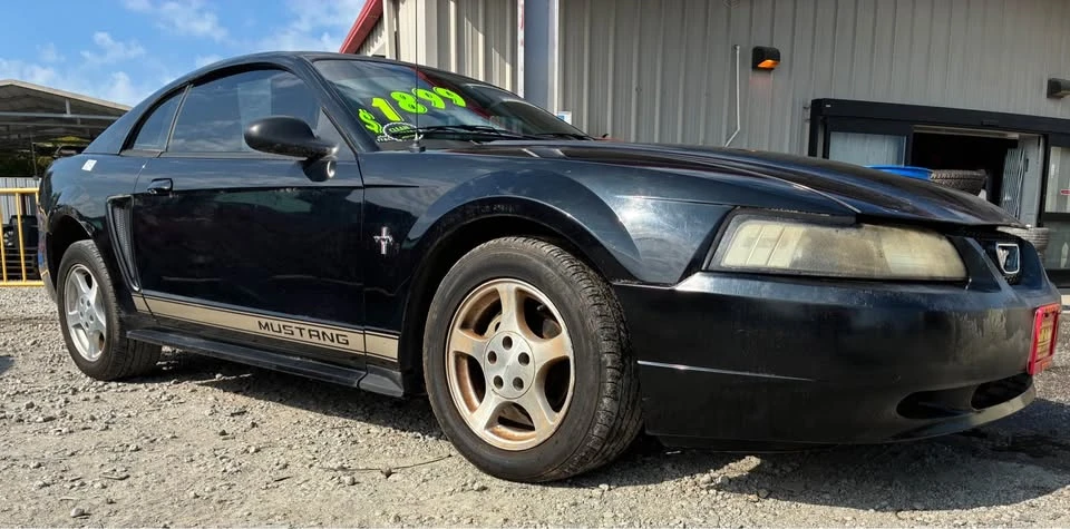 2002 Ford SN95 Mustang - Image 2 of 12