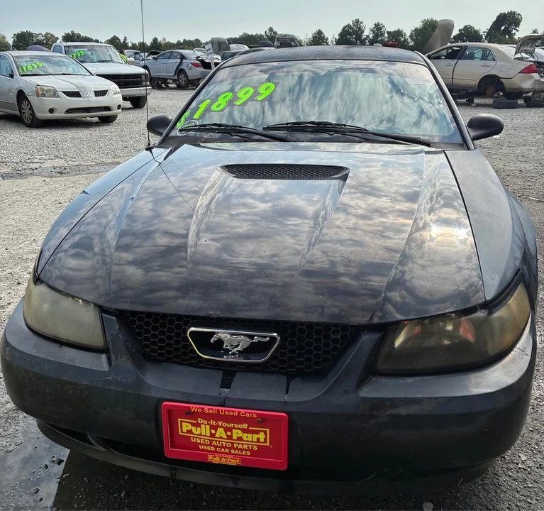 2002 Ford SN95 Mustang - Image 7 of 12