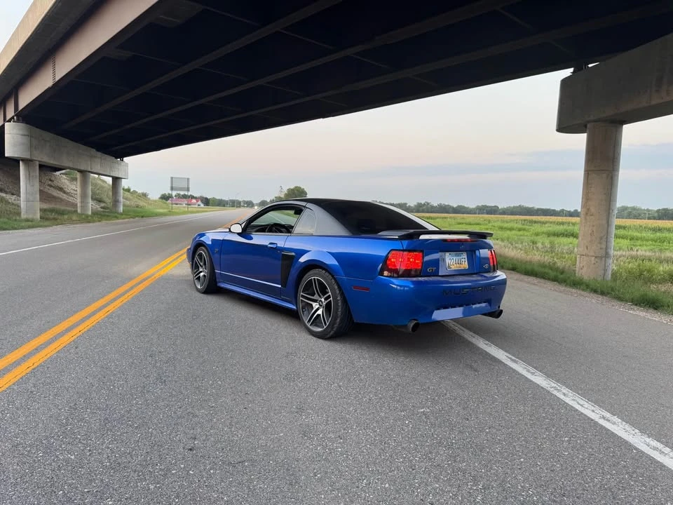 2002 Ford SN95 Mustang - Image 5 of 7